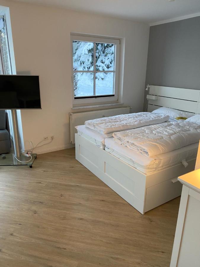 Harztraum-6 Daire Braunlage Dış mekan fotoğraf