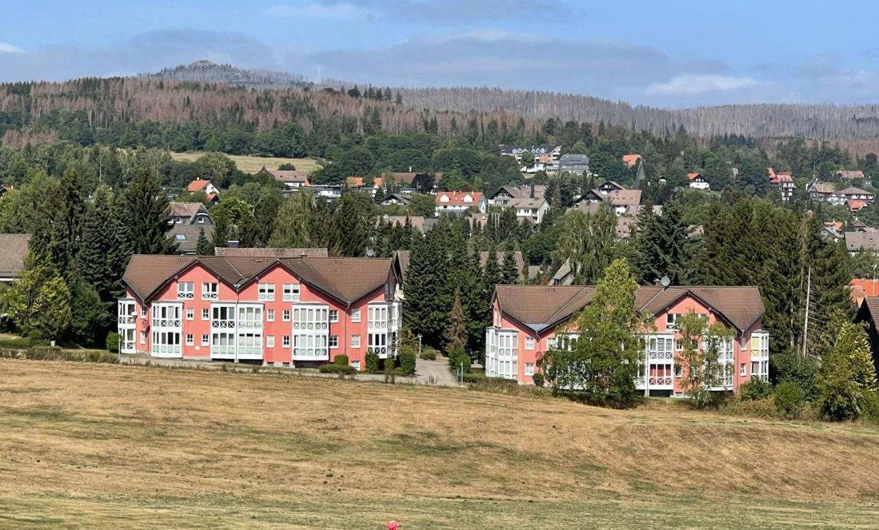 Harztraum-6 Daire Braunlage Dış mekan fotoğraf